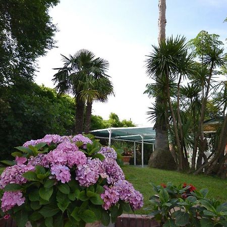 Il Piccolo Nido Bed & Breakfast Borgo Montenero Екстериор снимка