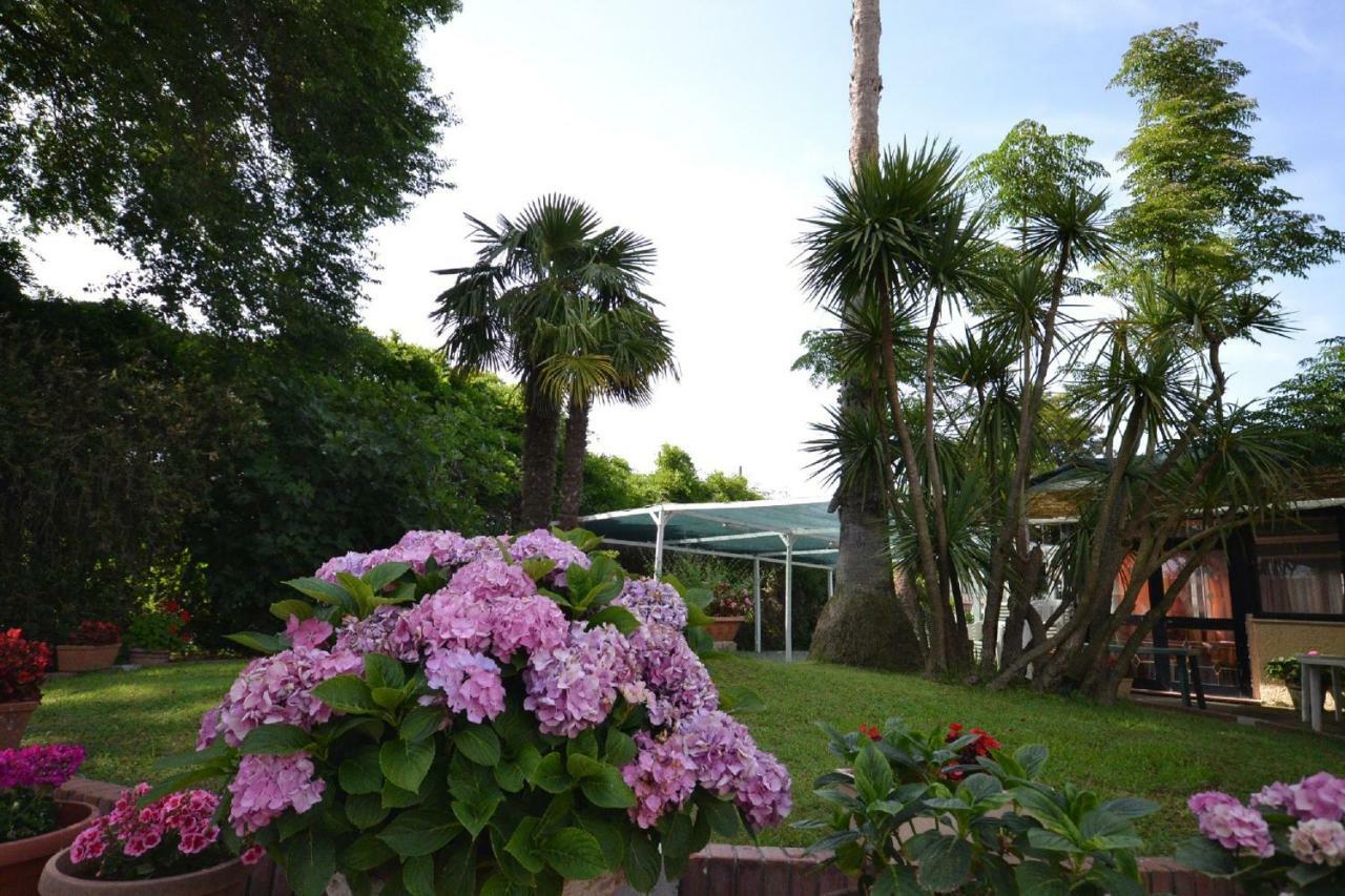 Il Piccolo Nido Bed & Breakfast Borgo Montenero Екстериор снимка