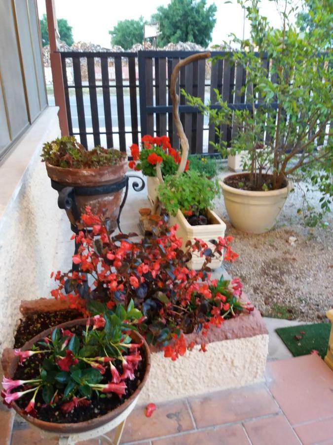 Il Piccolo Nido Bed & Breakfast Borgo Montenero Екстериор снимка